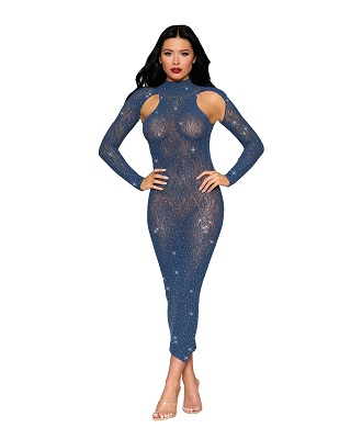 Dreamgirl-Long-Sleeve- Bodystocking Gown-0512